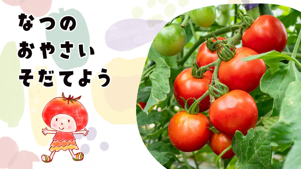 こどもおりょうりラボ｜保育園食育授業｜野菜を育てよう