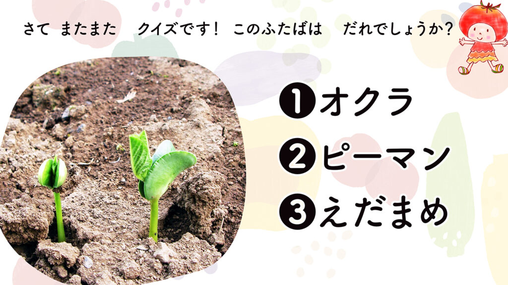 こどもおりょうりラボ｜保育園食育授業｜野菜を育てよう