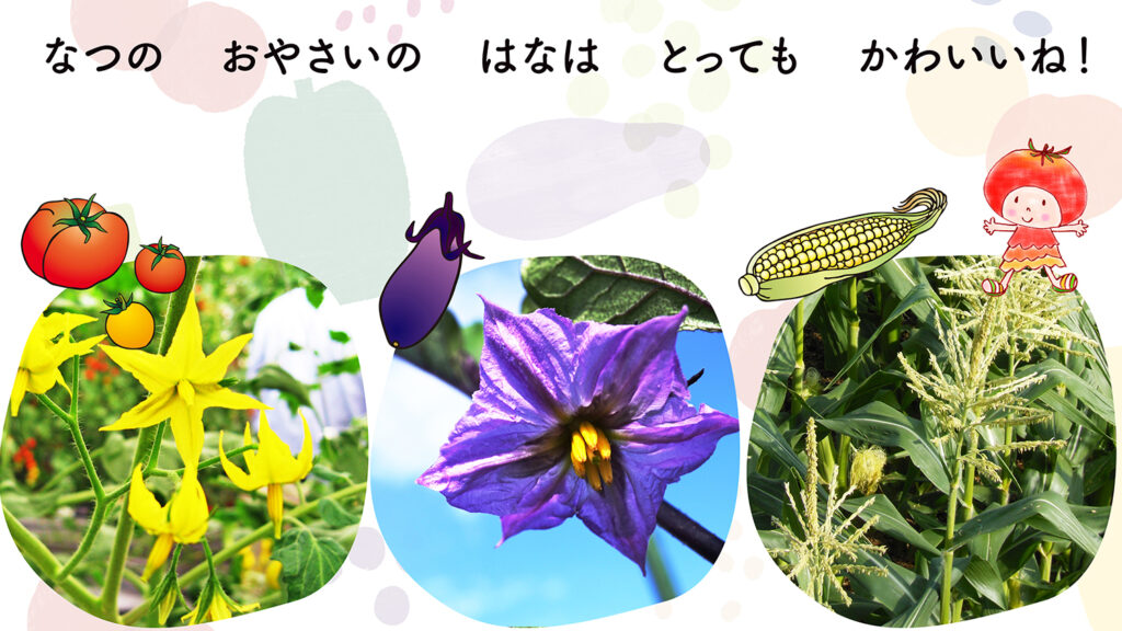 こどもおりょうりラボ｜保育園食育授業｜野菜を育てよう