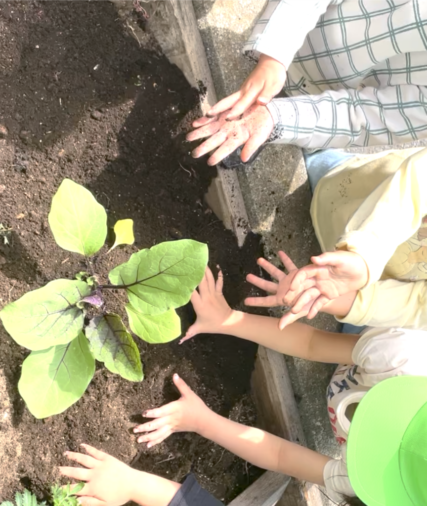 こどもおりょうりラボ｜保育園食育授業｜野菜を育てよう